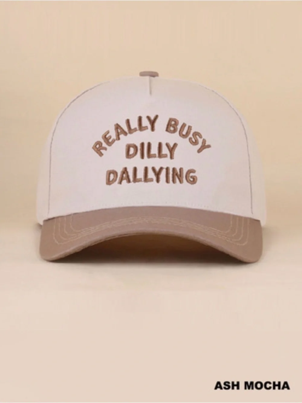 REALLY BUSY DILLY DALLYING TWO TONE SNAPBACK HAT